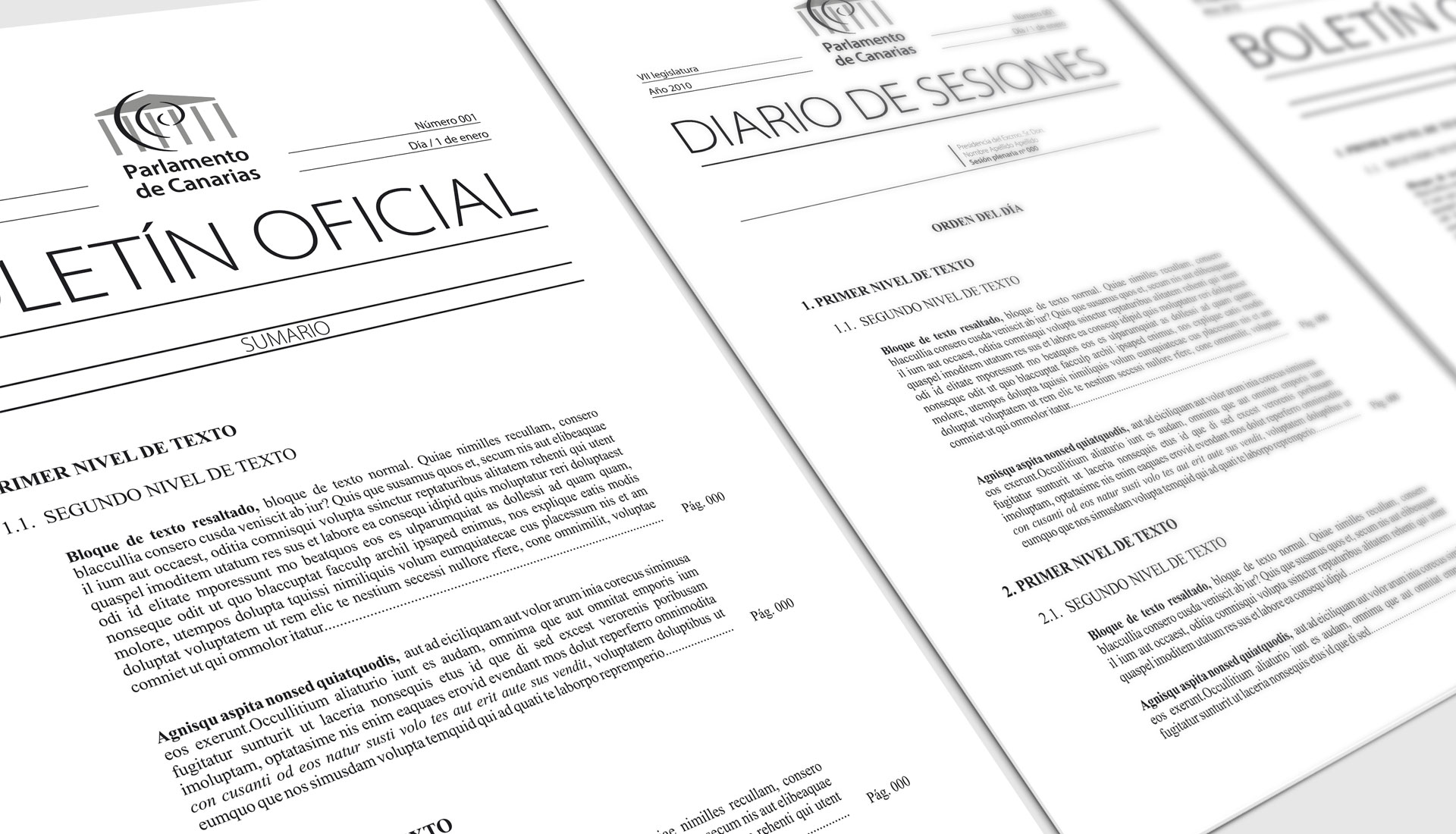 bop-diario-sesiones-parlamento-waldemar Boletín Oficial Parlamento y Diario de Sesiones