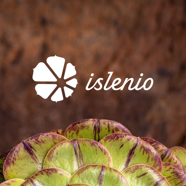 Logo marca símbolo Islenio productos típicos canarios