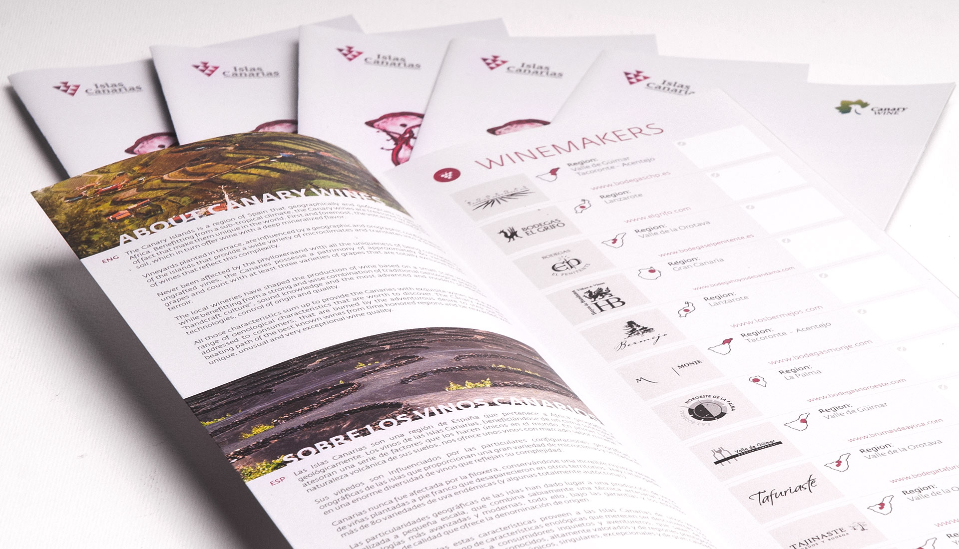 Canary Wine flyer Fenavin