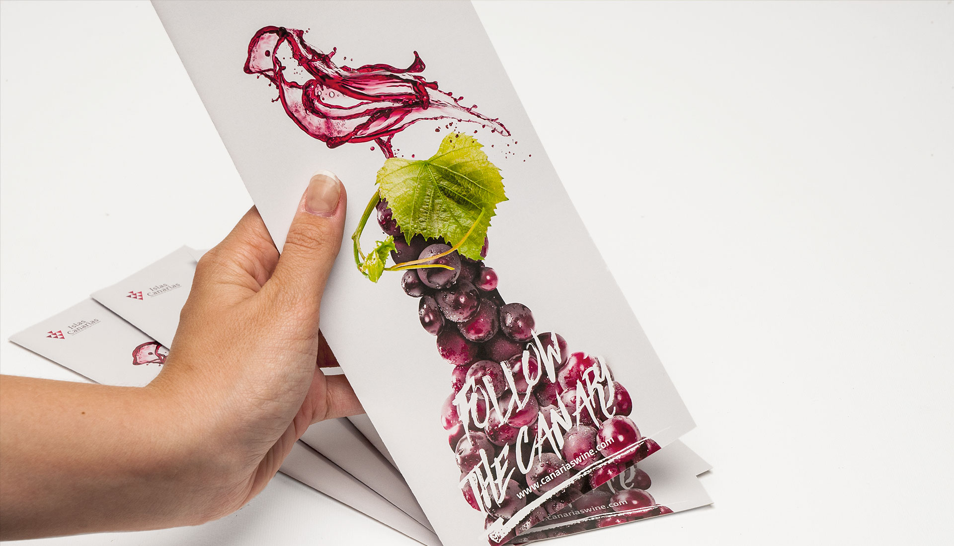 DOP Canary Wine Fenavin