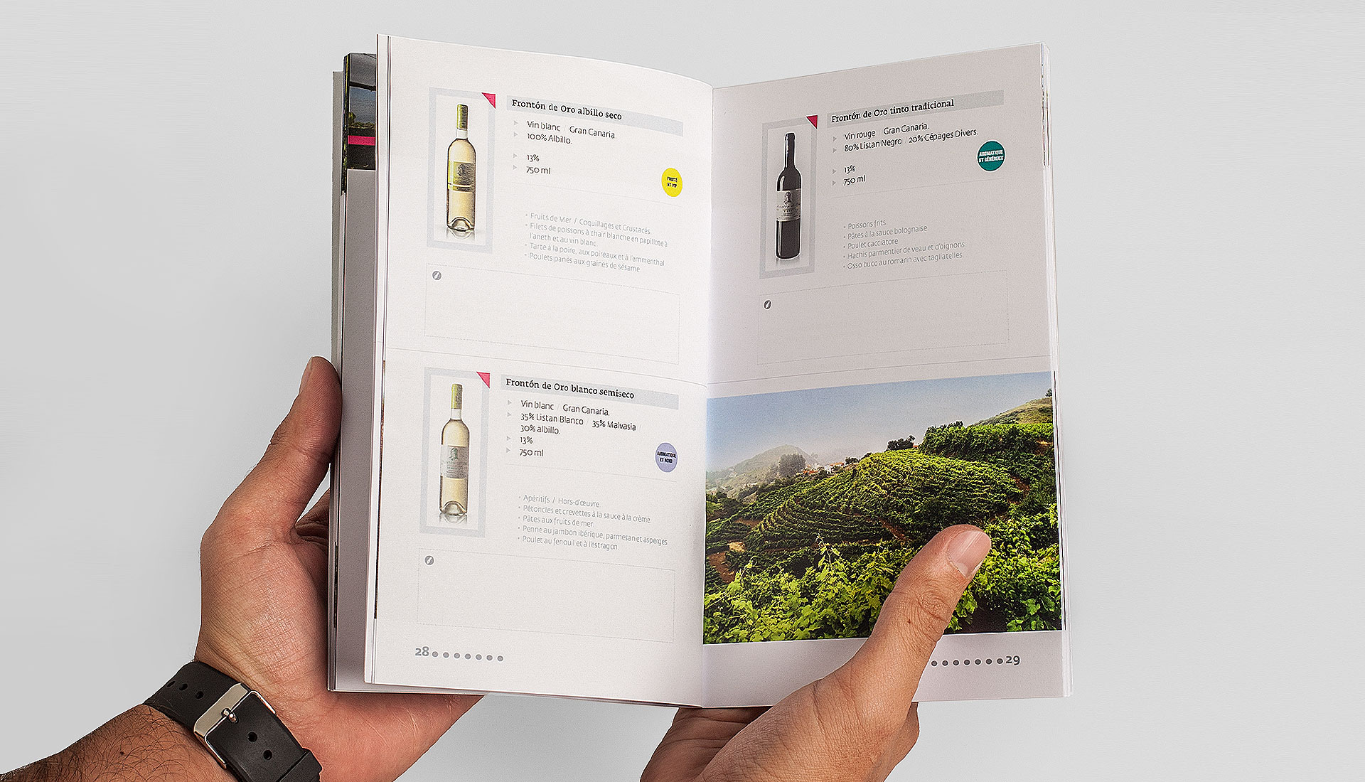 Catálogo de vinos Canary Wine