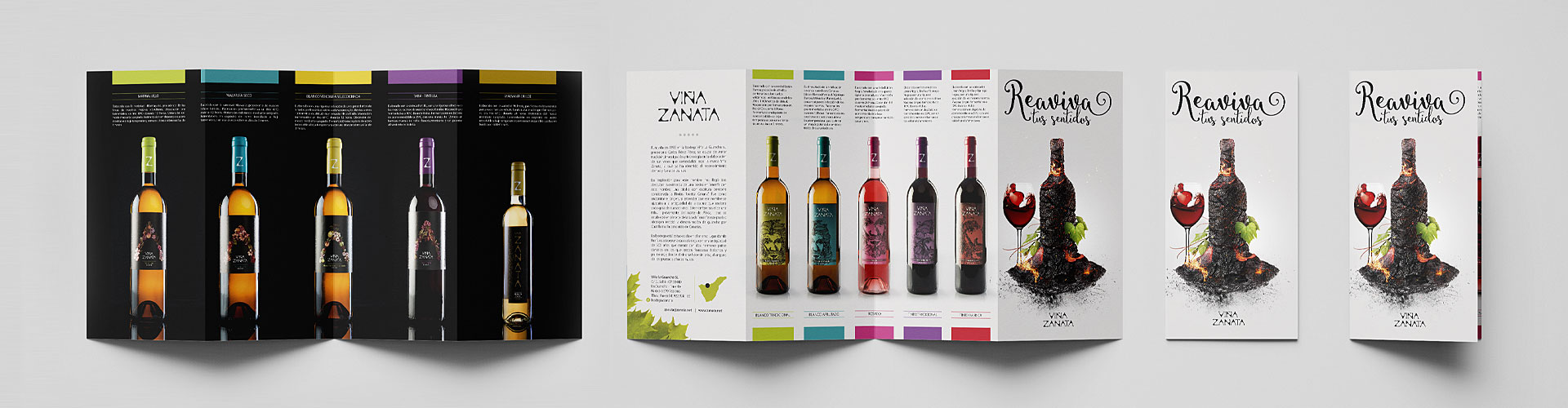 Flyer cuadradíptico Viña Zanata