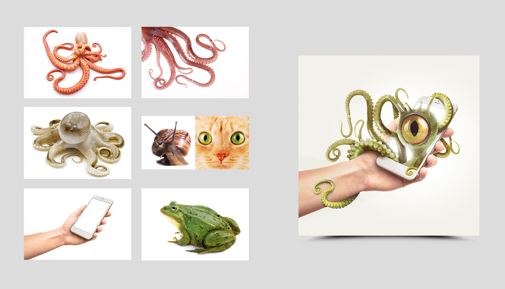 Composición fotográfica creativa de stock ACIISI